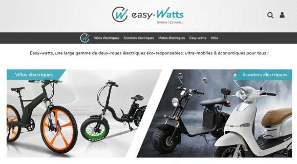 Scooter électrique